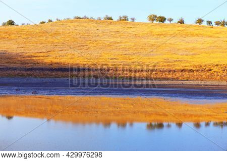 Arid Climate Scenery . Dry Grass On The Hill In The Summer . Nature Reflection In The Pond Water