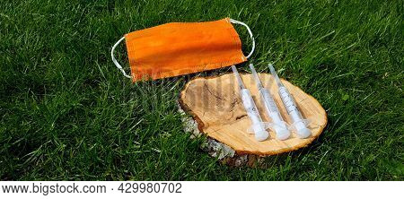 The Concept Of Death From Infectious Diseases. Mask, Dried Flowers And Syringe