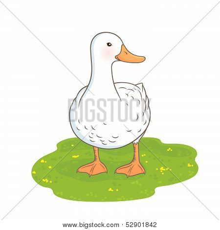 Duck In The Meadow