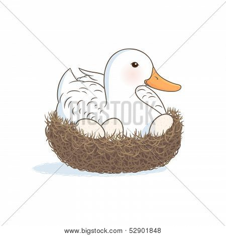 Duck On The Nest