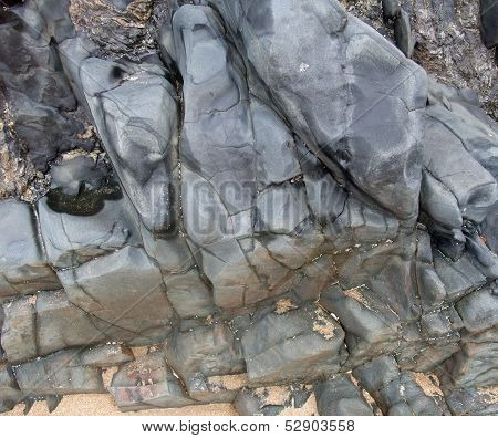 Coastal Detail