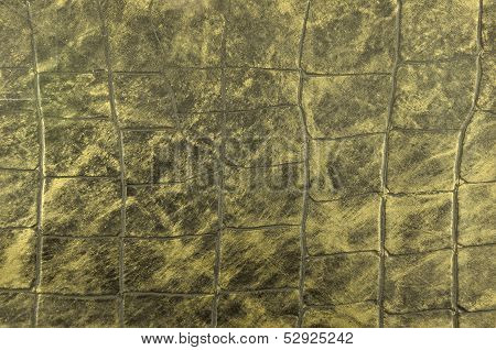 Colour Snake Skin Texture Background