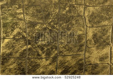 Colour Snake Skin Texture Background