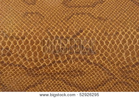 Colour Snake Skin Texture Background