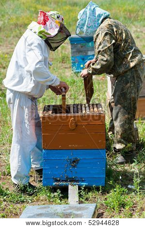 Beekeepers At Work