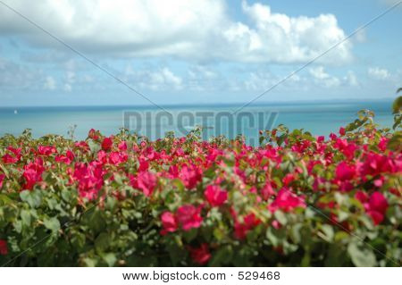 Litoral de Puerto Rico