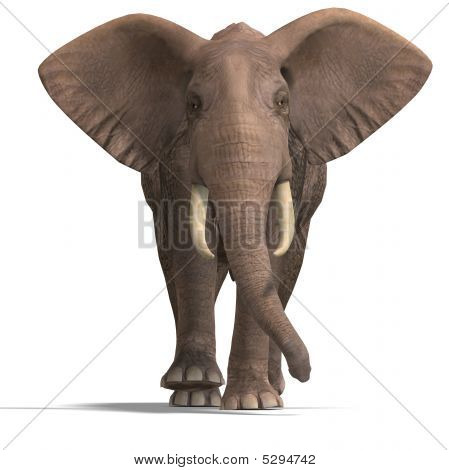 Enorme elefante