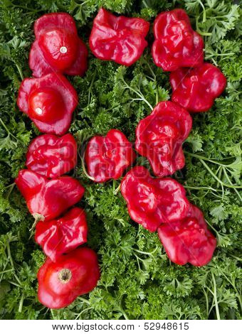 Letter R. Pepper and parsley.