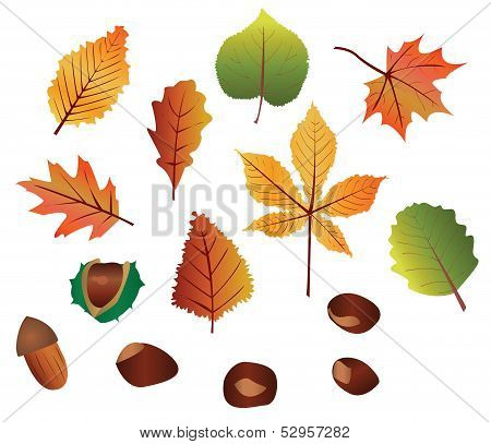 Autumn