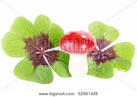 Lucky Devil With Clover