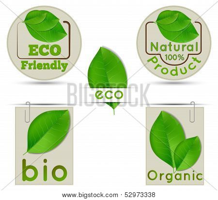 Labels Ecology And Bio And Natural