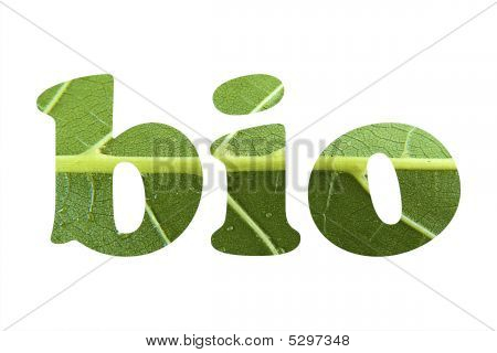 Bio
