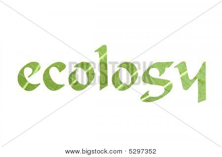 Eco