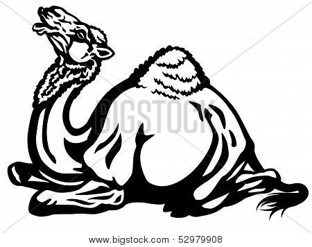 Lying Camel Black White