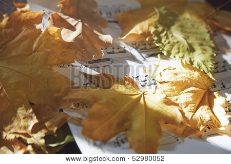 Autumn music