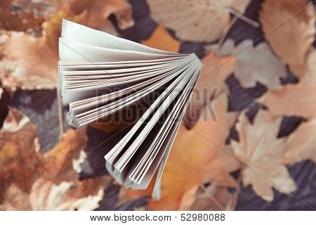 Autumn Book