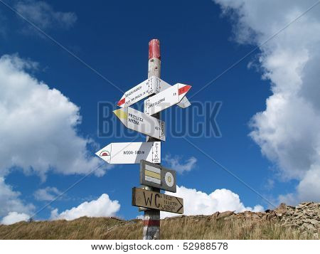 Signpost In The Path In Bieszczady Mountains, Poland