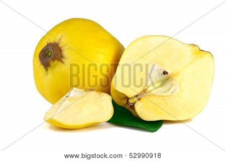 quince with leaf isolated on white background