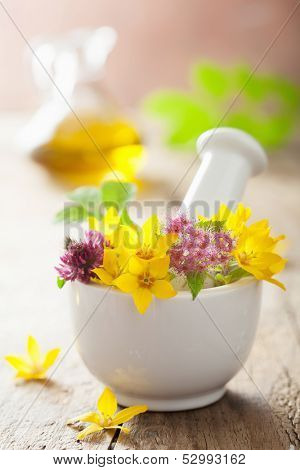 mortar with flowers and herbs 
