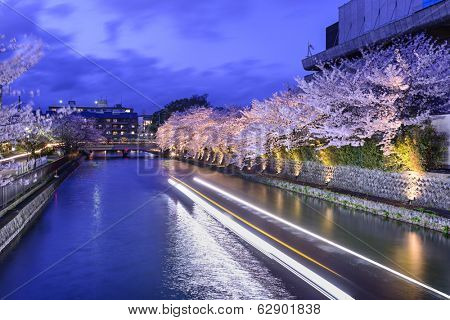 Kyoto, Japan on the Okazaki Canal during the spring cherry blossom season.