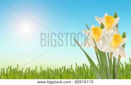 Easter Background