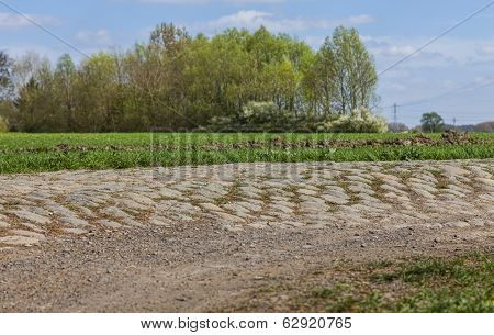 Cobblestone Road