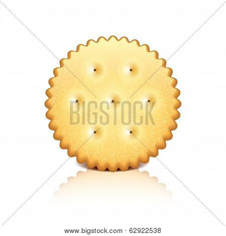 Cracker Cookie Vector Illustration