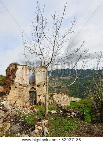Old Osini