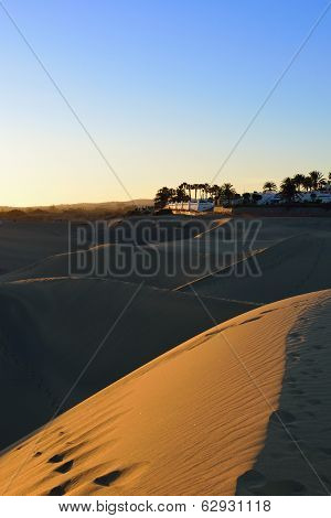 Dune Maspalomas