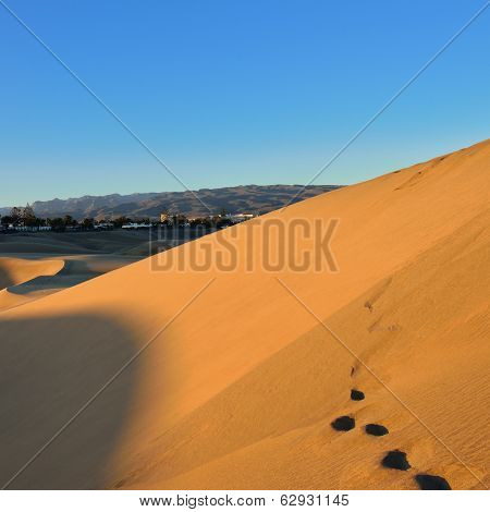 Dune Maspalomas