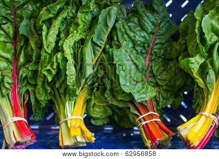 Multi-colored Rainbow Chard At Local Farm Market