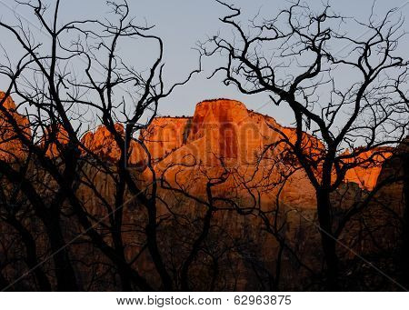 Towers Of The Virgin, Zion National Park