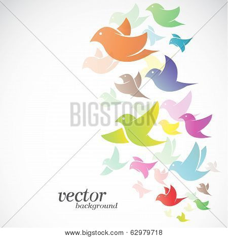 Bird Design On White Background