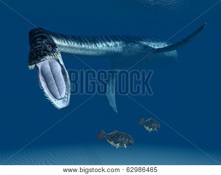 Plesiosaurus