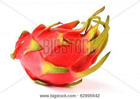 Pitahaya Dragon Fruit
