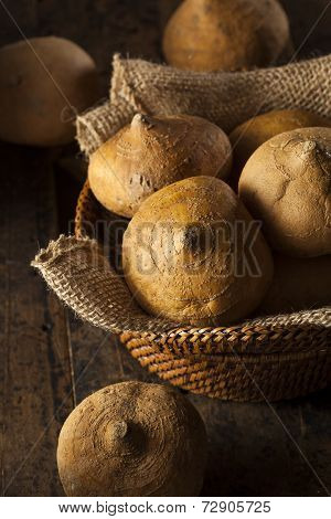 Raw Organic Brown Jicama
