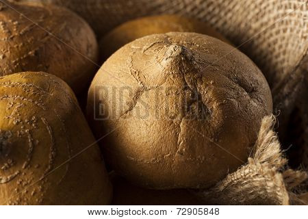 Raw Organic Brown Jicama