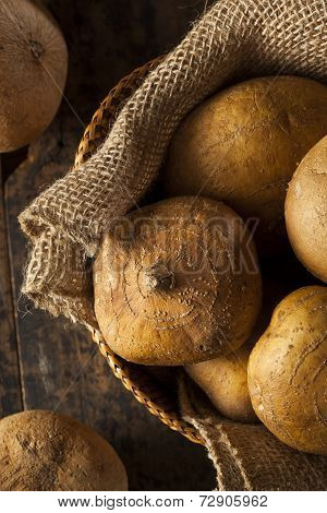 Raw Organic Brown Jicama