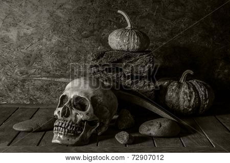 Still Life Skull And Pumpkin On The Timber.