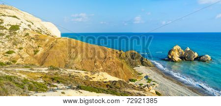 The Scenic Shore