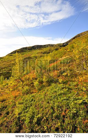 Mountain landscape