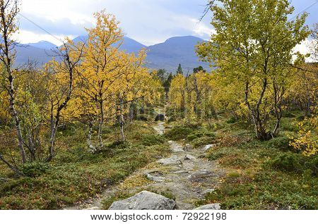 Mountain landscape