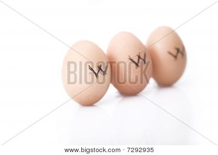 Www Egs