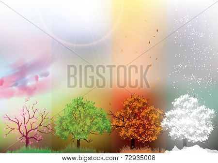 Four Seasons Banners with Abstract Trees - Vector Illustration