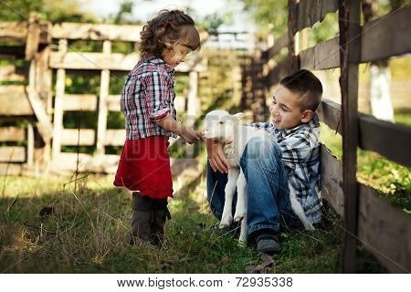 Children feeding little lamb