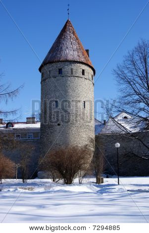 Tallinns gamle