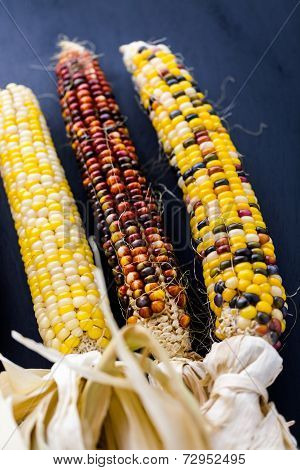 Flint Corn