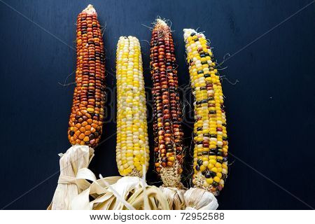 Flint Corn