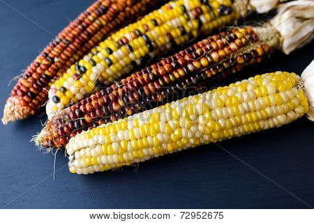 Flint Corn