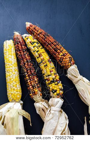 Flint Corn